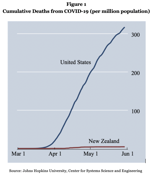 New zealand covid 19 cases