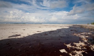 Government to Propose More Gulf Coast Restoration Projects
