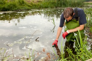 Report Recommends Ways to Improve Regulatory Science