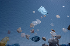 Plastic Bag Regulations Gain Momentum, Face Criticism