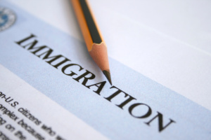 Proposed Safeguards for Free Immigration Legal Services