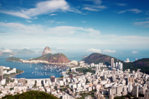 Regulatory Policy and the Brazilian Presidential Election