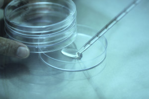 The Case Against FDA Regulation of Laboratory-Developed Diagnostic Tests