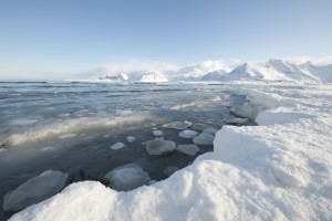 The Paris Agreement Delivers a Champagne Moment