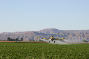 Rethinking Chemical and Pesticide Regulation