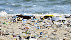 Single-Use Plastics Need Comprehensive Federal Legislation