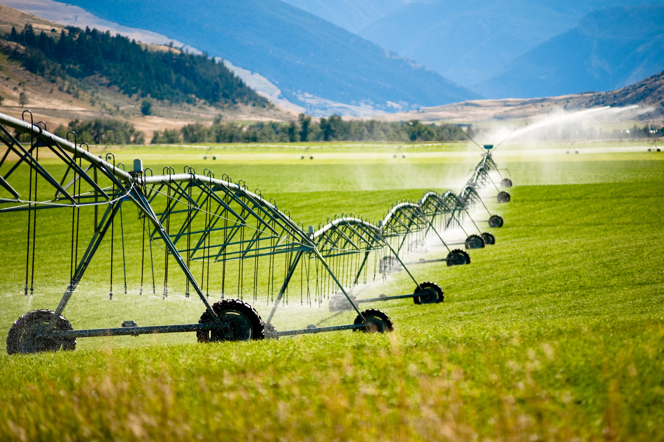 Agriculture irrigation