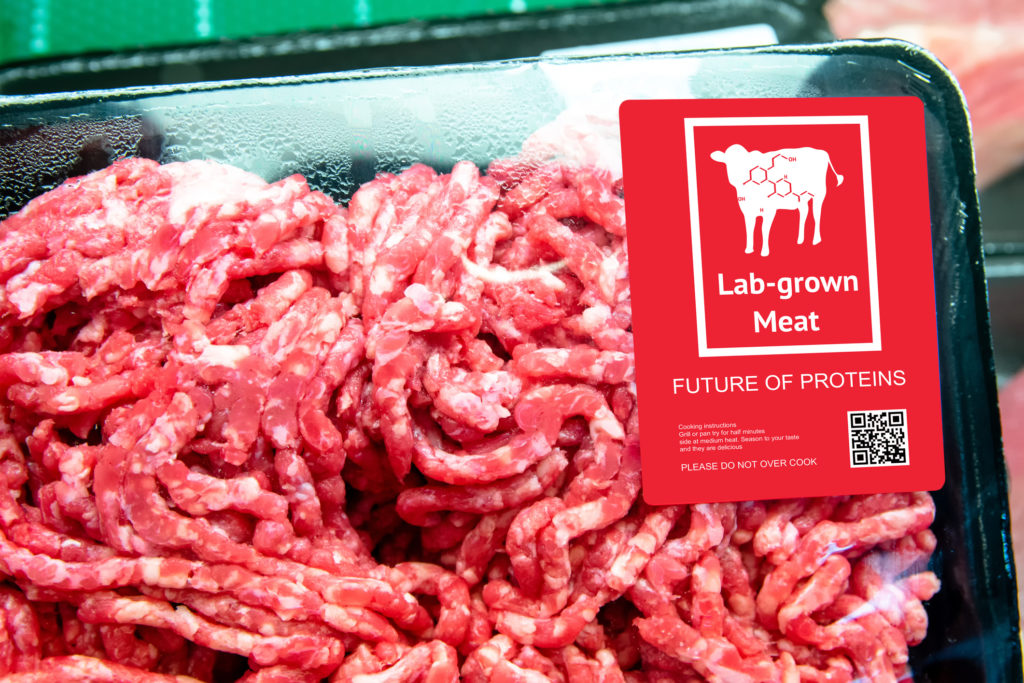 Meat and Meat Alternatives Regulation The Regulatory Review