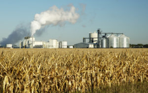 Are Biofuels Doing More Harm Than Good?