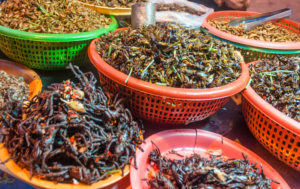 Calls for Regulatory Approval of Edible Insects