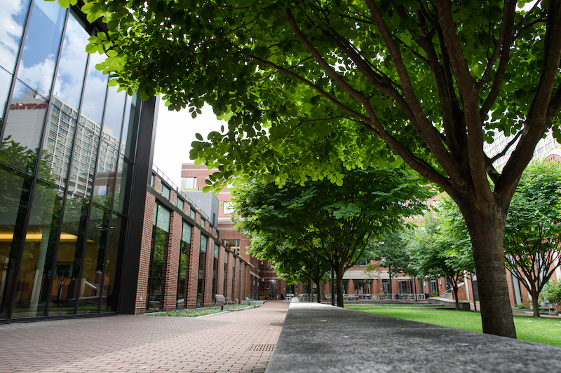 Courtyard