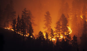 Can the United States Halt Wildfires?