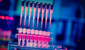 Strengthening the Stem Cell Industry Through Better Regulation