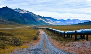 What Comes Next for ANWR?