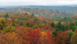 Changing Federal Land Policy Can Encourage Carbon Capture Projects