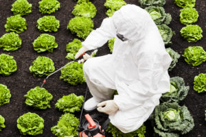 Using Insurance to Regulate Food Safety