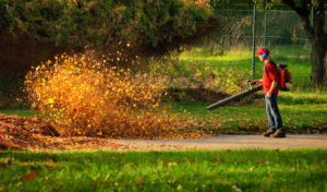 Think Globally on Climate, Act Locally on Leaf Blowers