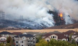Fighting Fires Through Resilience Regulation