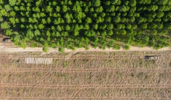 Inside the EU’s Ambitious Anti-Deforestation Regulation