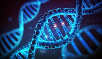 Editing the Human Genome