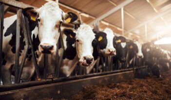 Managing Meat Monopolies