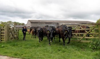 Antitrust Enforcement in the Meatpacking Industry