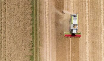 The True Value of Better Regulation Lies Beyond Simplification